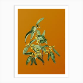 Vintage Russian Olive Botanical on Sunset Orange Art Print