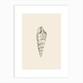 Illustration 605 'Pencil Seashell', Aga Szafranska Art Print