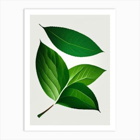 Stevia Leaf Vibrant Inspired 4 Art Print