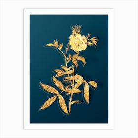 Vintage White Rose of York Botanical in Gold on Teal Blue n.0036 Art Print