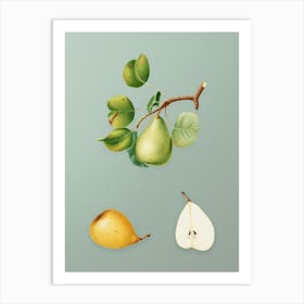 Vintage Pear Botanical Art on Mint Green n.0090 Art Print