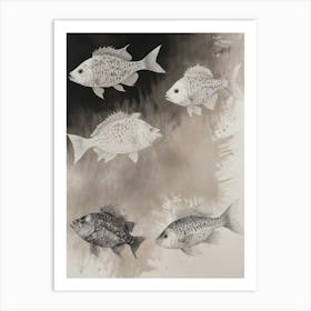 Four Fish Art Print