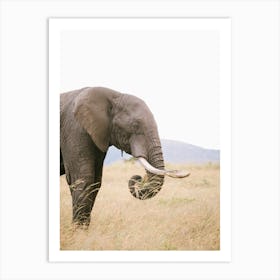 Kenya Elephant Art Print
