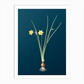 Vintage Daffodil Botanical Art on Teal Blue 1 Art Print