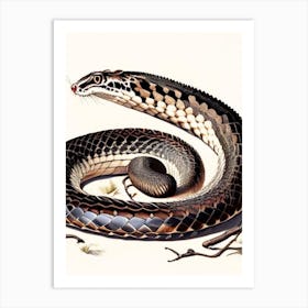 Black Tailed Rattlesnake 1 Vintage Art Print