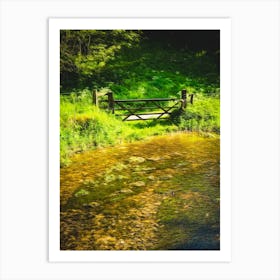 Across The Stream Art Print