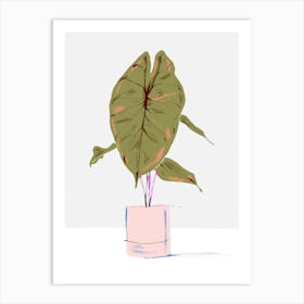 Alocasia Pink Dragon In A Pot Art Print