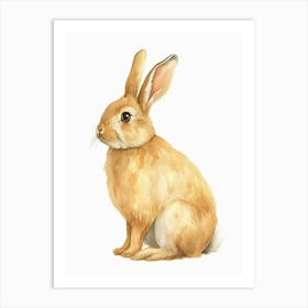 American Fuzzy Lop Rabbit Kids Illustration 1 Art Print