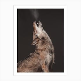 Howling Coyote Art Print