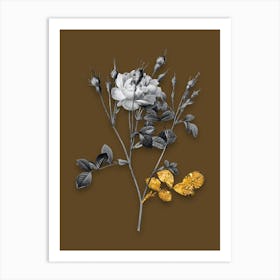 Vintage Anemone Sweetbriar Rose Black and White Gold Leaf Floral Art on Coffee Brown n.0025 Art Print