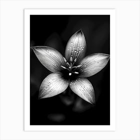 Black And White Flower Art Print