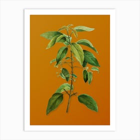 Vintage Chilean Wineberry Branch Botanical on Sunset Orange Art Print