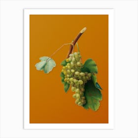 Vintage Grape Vine Botanical on Sunset Orange n.0911 Art Print