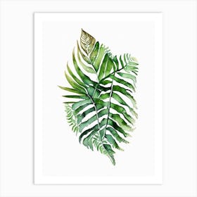 Boston Fern Watercolour Art Print