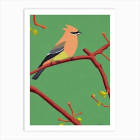 Cedar Waxwing 3 Midcentury Illustration Bird Art Print