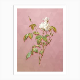 Vintage White Bengal Rose Botanical Art on Crystal Rose n.0430 Art Print