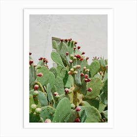 Desert Cactus II on Film Art Print