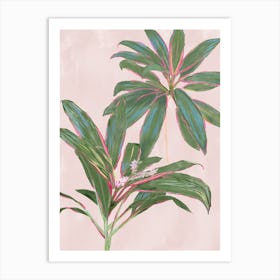 Pink And Green Plant Tropical Pink Diamond Cordylines Art Print