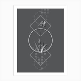 Vintage Corn Lily Botanical with Line Motif and Dot Pattern in Ghost Gray n.0362 Art Print