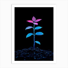 Plant Grows In The Dark Art Print