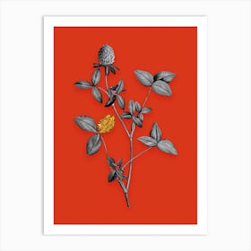 Vintage Pink Clover Black and White Gold Leaf Floral Art on Tomato Red Art Print