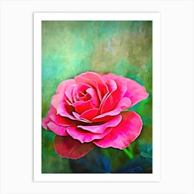 Exquisite Pink Rose  Art Print