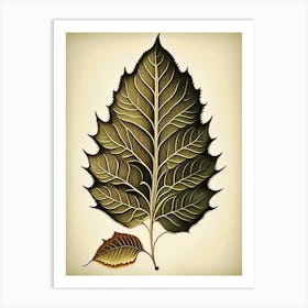 Birch Leaf Vintage Botanical 2 Art Print