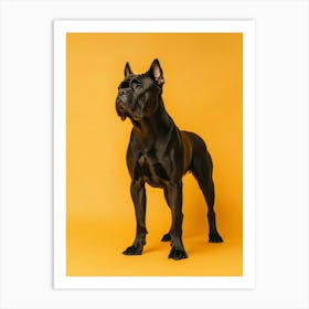 Black French Bulldog Standing On Yellow Background.Generated AI. Wall Art Print Art Print