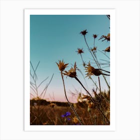 Wildflowers At Dusk Art Print