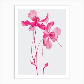 Hot Pink Columbine 2 Art Print