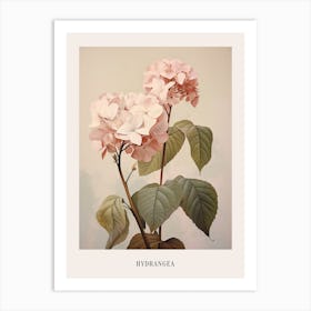 Floral Illustration Hydrangea 2 Poster Art Print