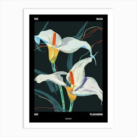 No Rain No Flowers Poster Calla Lily 4 Art Print