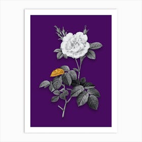 Vintage White Rose Black and White Gold Leaf Floral Art on Deep Violet n.0636 Art Print