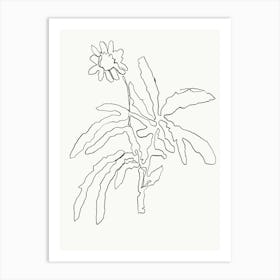 Flower Scribble Art Print