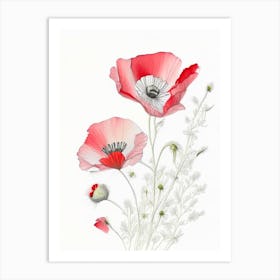Poppy Floral Quentin Blake Inspired Illustration 5 Flower Art Print
