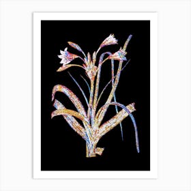 Stained Glass Malgas Lily Mosaic Botanical Illustration on Black n.0285 Art Print
