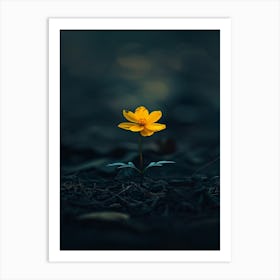 Single Yellow Flower 48 Art Print