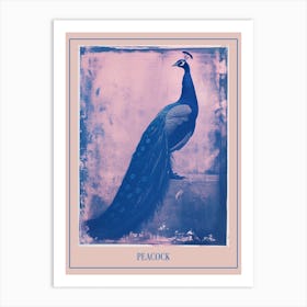 Pink & Blue Peacock Cyanotype Style 3 Poster Art Print