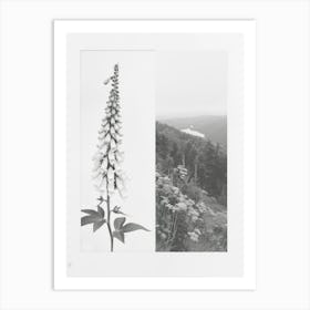 Foxglove Flower Photo Collage 4 Art Print