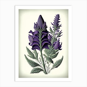 Lavender Leaf Vintage Botanical 3 Art Print