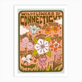 Connecticut Wildflowers Art Print