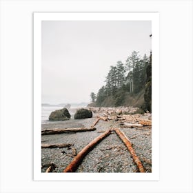 Driftwood On Beach Art Print