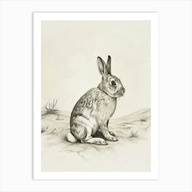 American Fuzzy Rabbit Drawing 1 Art Print