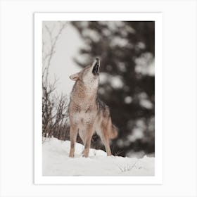 Howling Winter Wolf Art Print