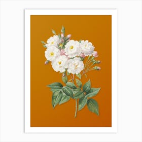 Vintage Noisette Roses Botanical on Sunset Orange n.0035 Art Print