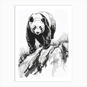 Giant Panda Walking On A Mountain Ink Illustration 4 Art Print