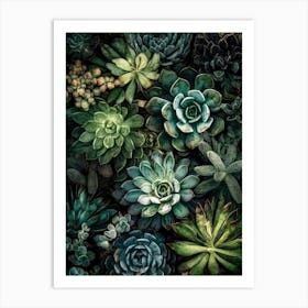 Succulents and cacti nature botany art Art Print