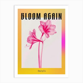 Hot Pink Amaryllis 3 Poster Art Print