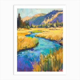 Tahoe River Art Print