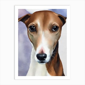 Italian Greyhound 3 Watercolour Dog Art Print